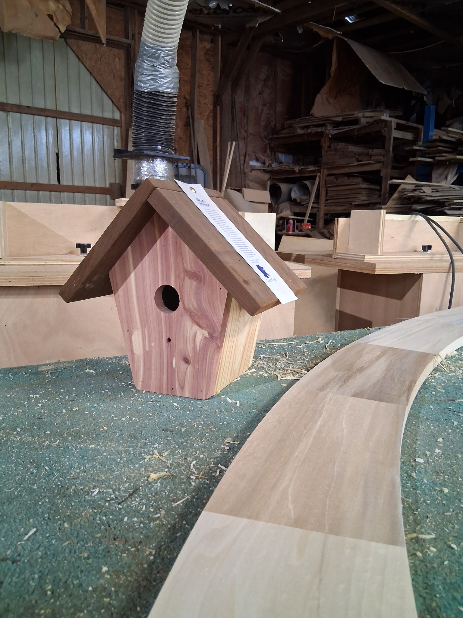 Blue bird house