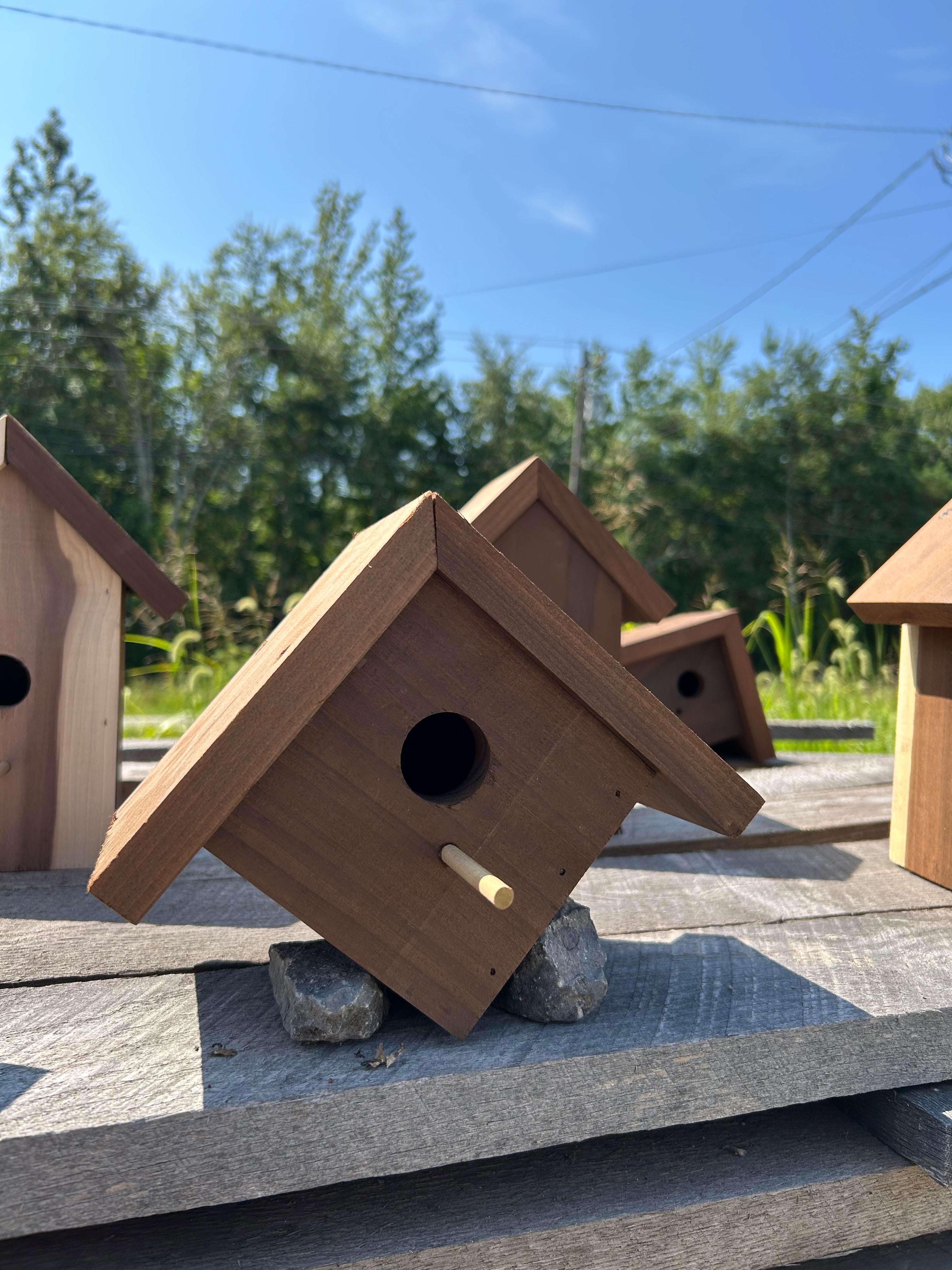 Wren birdhouse